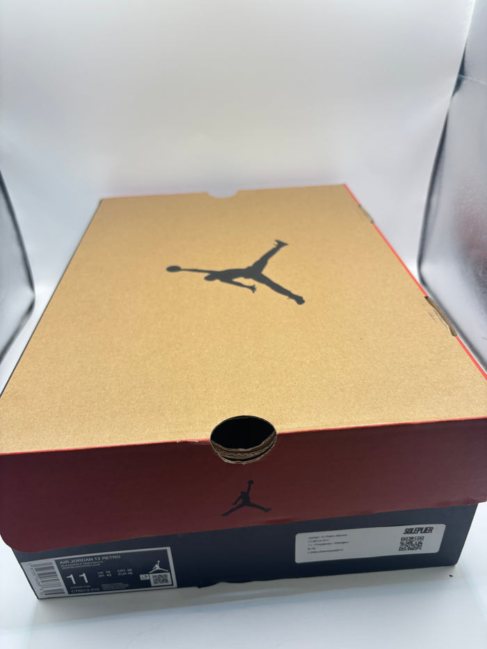 Jordan 12 Retro Barons