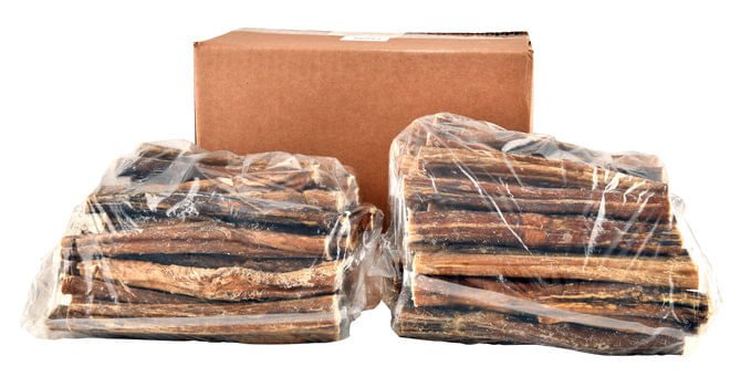 6" Bully Sticks for Dogs by QT Dog - QTD1D - Each - 6