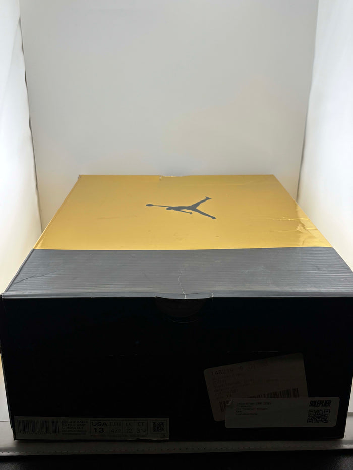 Jordan 6 Retro DMP (2020)