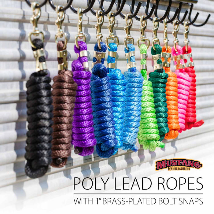 9'L Solid Color Poly Lead Rope with Bolt Snap - 121NL - Aqua - 2