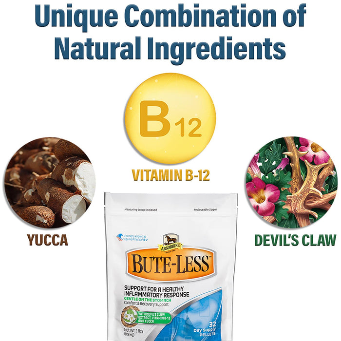 Absorbine Bute - Less Pellets Comfort & Recovery Horse Supplement - EJBD - 2 lbs - 3