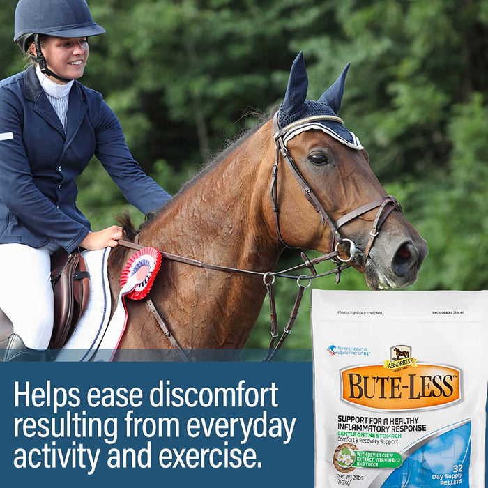 Absorbine Bute - Less Pellets Comfort & Recovery Horse Supplement - EJBD - 2 lbs - 4