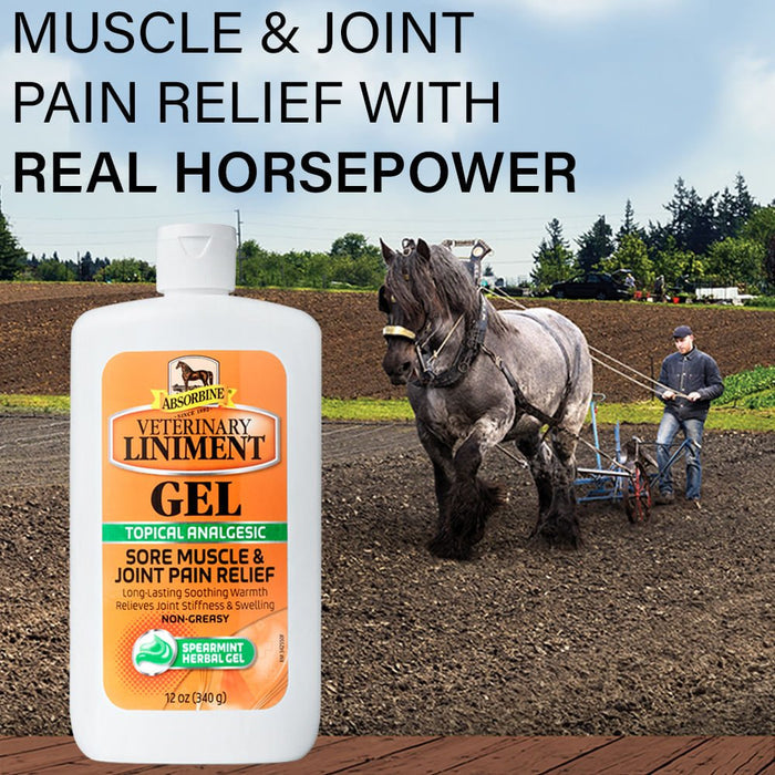 Absorbine Veterinary Liniment Gel - Y1L4 - Gel - 12 oz - 2