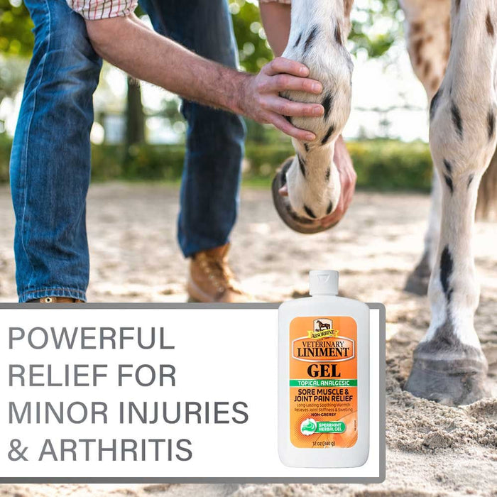 Absorbine Veterinary Liniment Gel - Y1L4 - Gel - 12 oz - 4