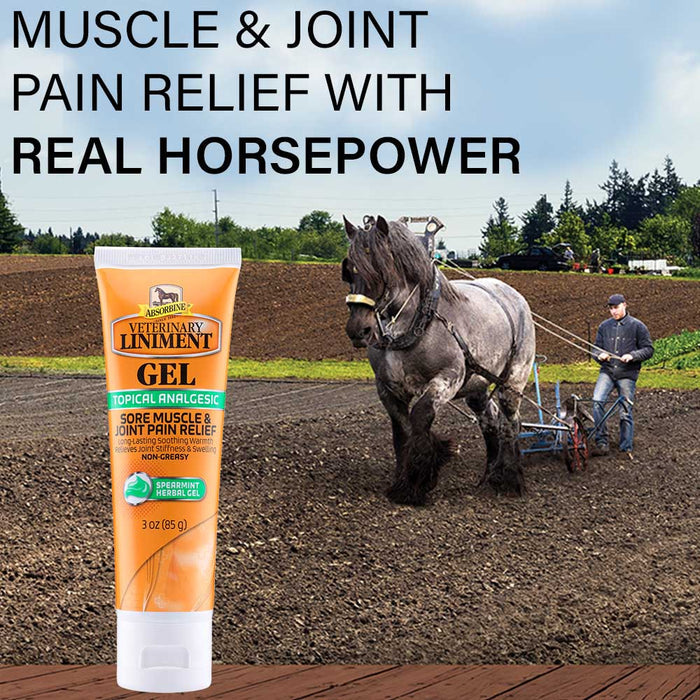 Absorbine Veterinary Liniment Gel - Y1N6 - Gel - 3 oz - 6