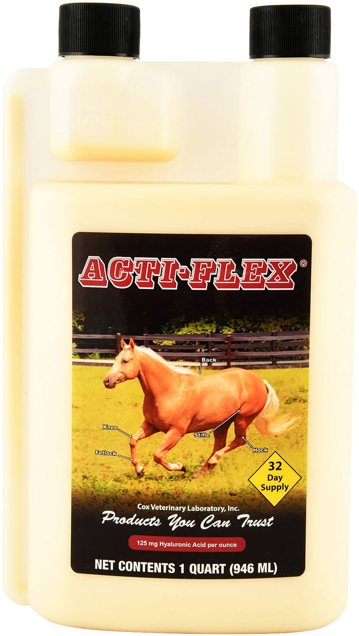 Acti - Flex Liquid Joint Supplement for Horses - CVLA8 - 32 oz - 1