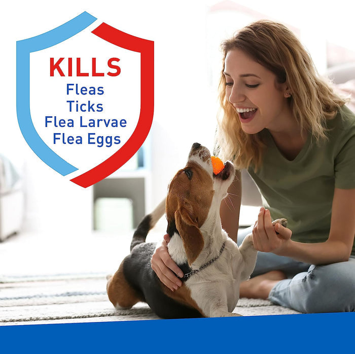 Adams Flea & Tick Carpet Powder, 16 oz - FAAU - 2