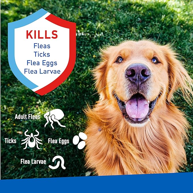 Adams Flea & Tick Spray, 16 oz - FAAI - 16 oz - 2