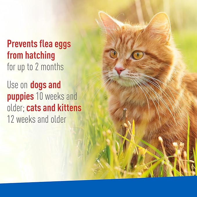 Adams Flea & Tick Spray, 16 oz - FAAI - 16 oz - 4