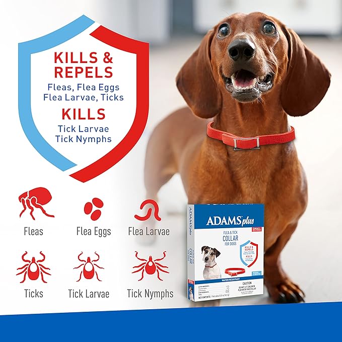 Adams Plus Dog Flea & Tick Collar - FAXA - Small - 3