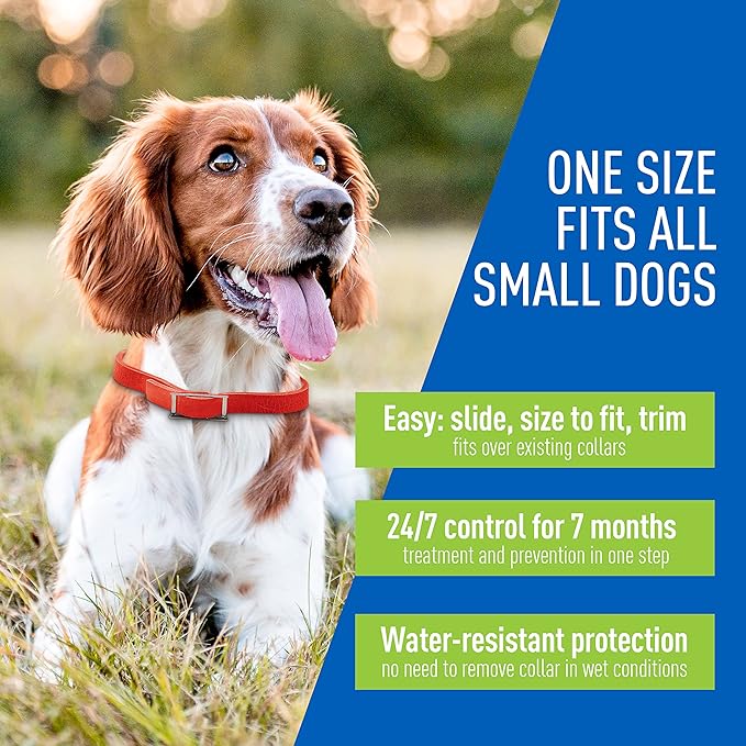 Adams Plus Dog Flea & Tick Collar - FAXA - Small - 4