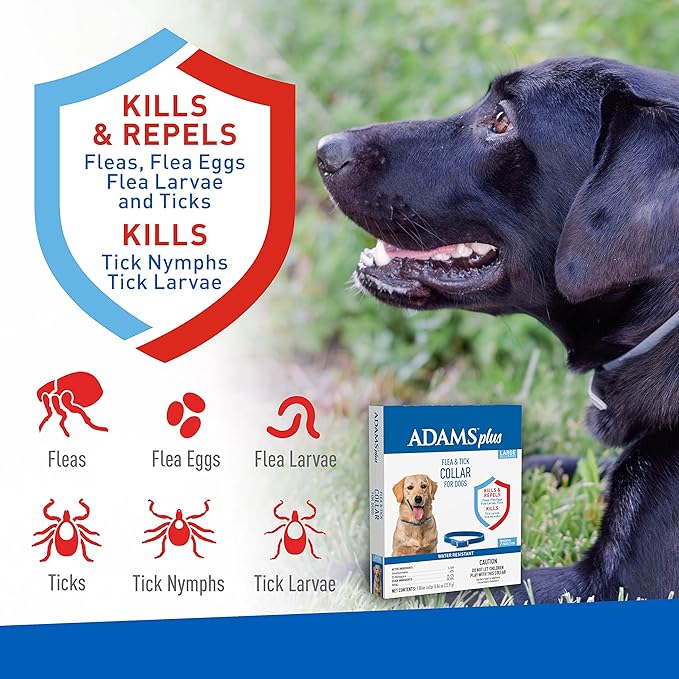 Adams Plus Dog Flea & Tick Collar - FAXA - Small - 6