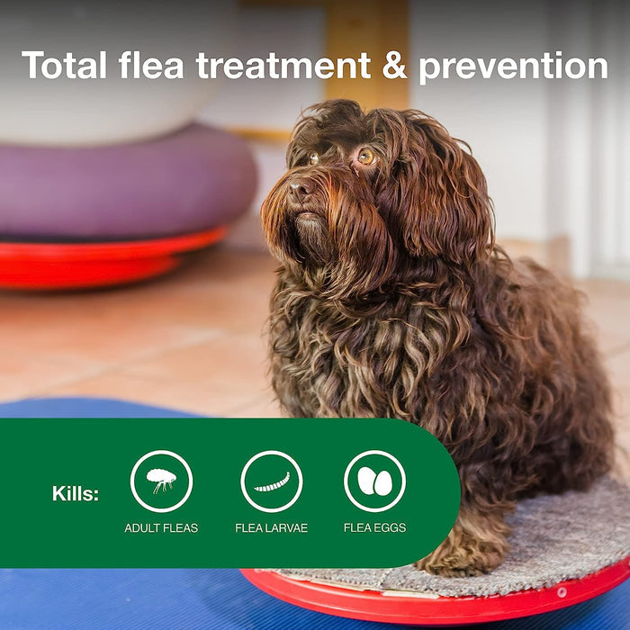 Advantage II for Dogs - E8A1 - 4 pack - Small Dogs (3 - 10 lbs) - 4