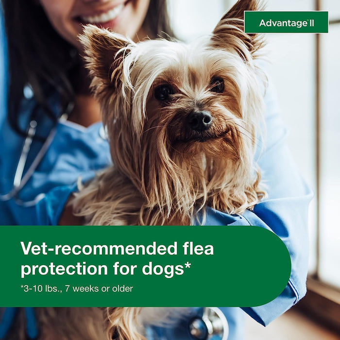 Advantage II for Dogs - E8A1 - 4 pack - Small Dogs (3 - 10 lbs) - 5