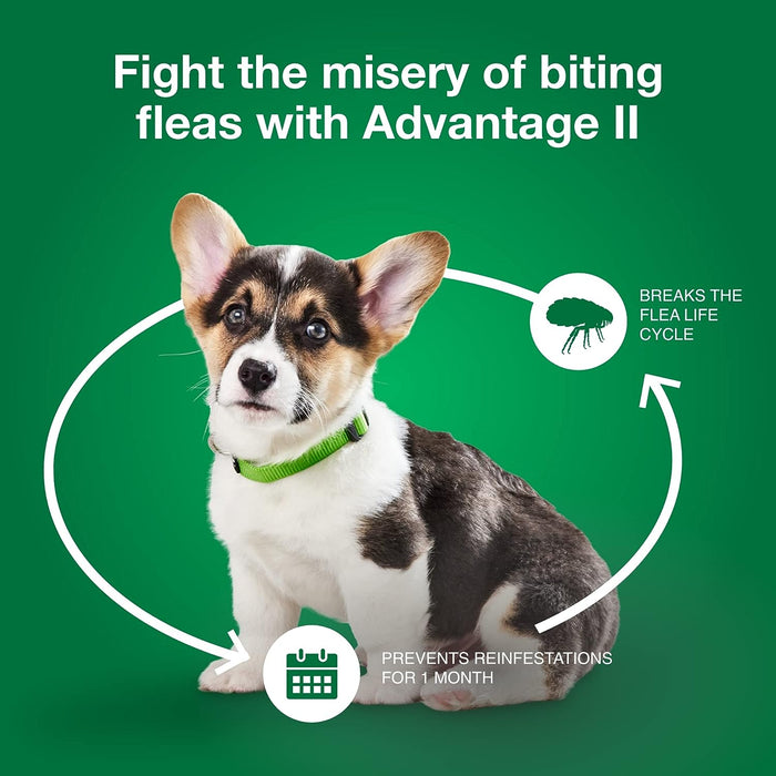 Advantage II for Dogs - E8A1 - 4 pack - Small Dogs (3 - 10 lbs) - 7