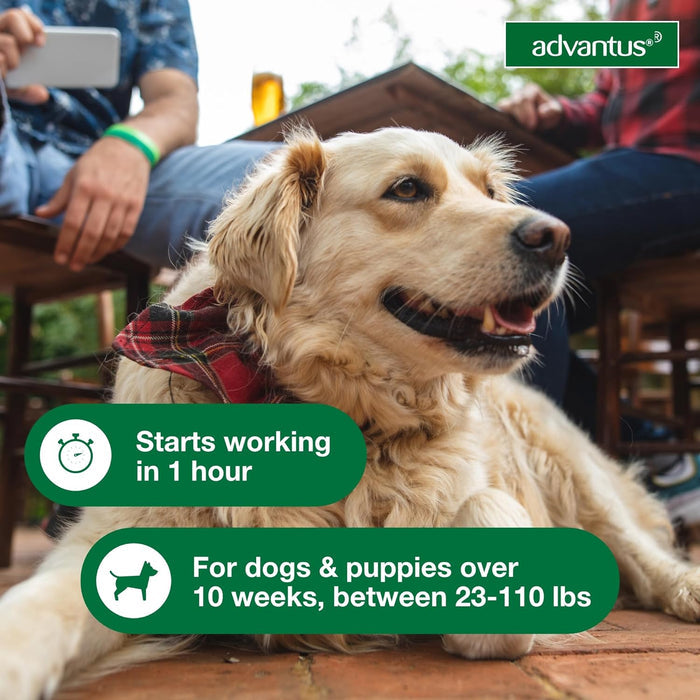 Advantus (imidacloprid) Oral Flea Treatment Soft Chews for Dogs - E81G - 23 - 110 lbs - 30 count - 6