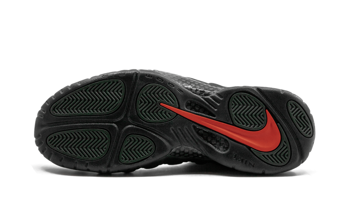 Nike Air Foamposite Pro Sequoia