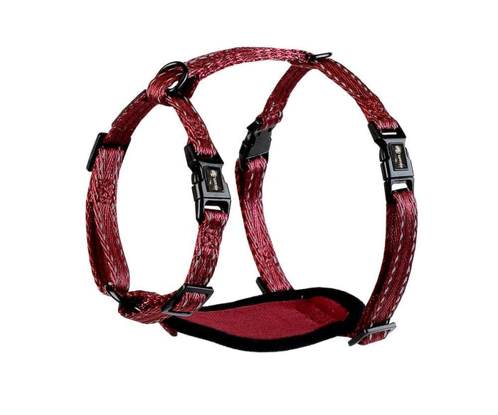 alcott Adventure Harness - P4W1X - Red - Extra Small - 1