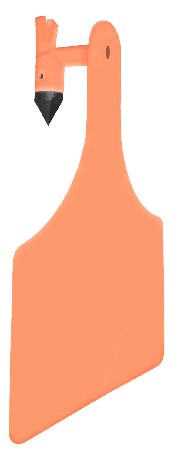 Allflex ATag Blank 1 - Piece Ear Tags, 25 ct - 01CD - Cow - Orange - 4