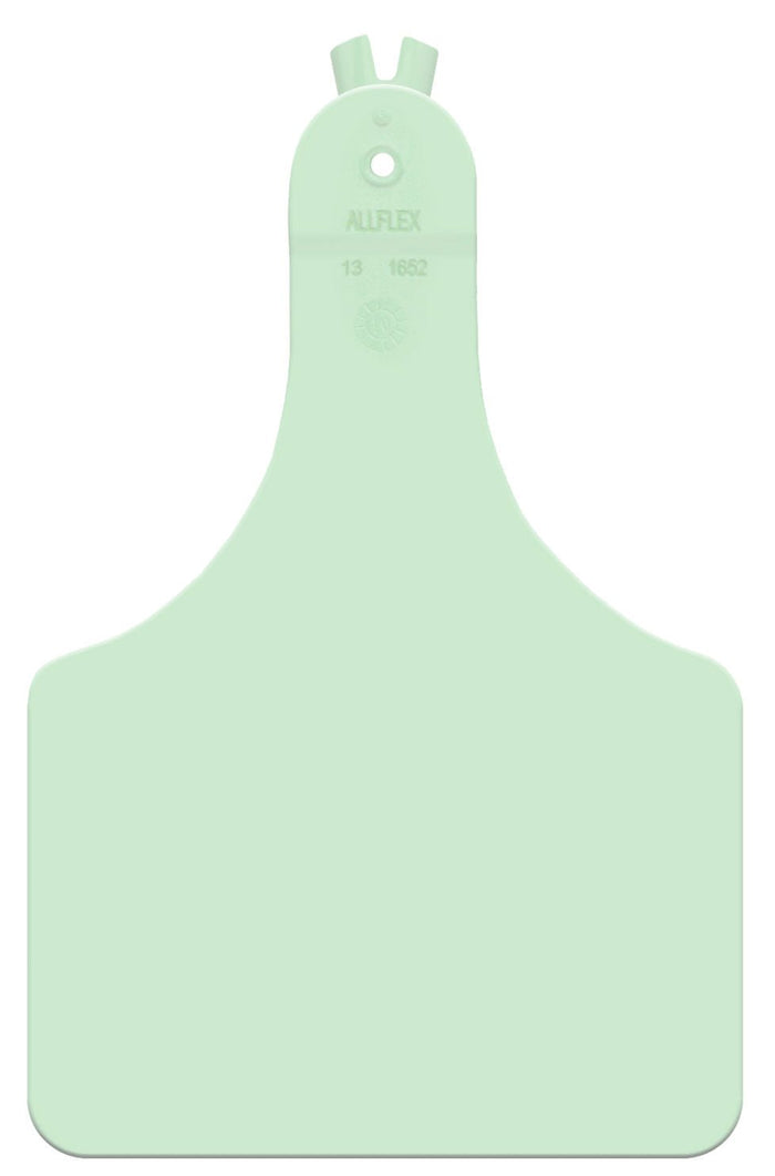 Calf / Green