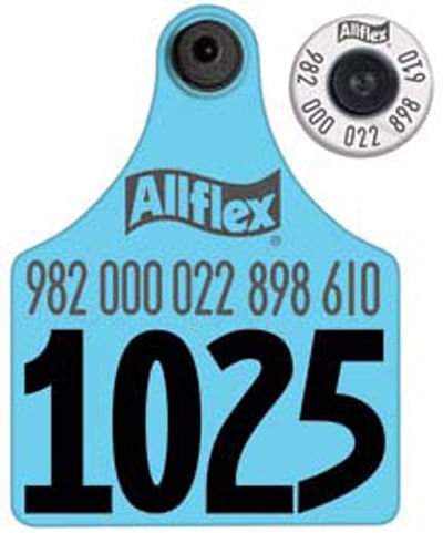 Allflex Blank EID & Maxi Cattle Ear Tag Sets, 50 ct - Y3EF - White - 1