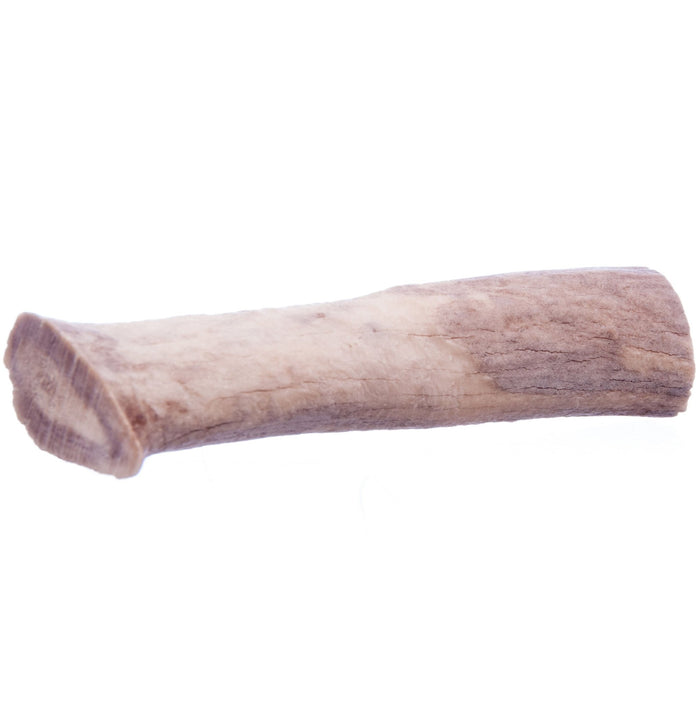 Antlerz Natural Dog Chew - QTDAF - Medium - 3