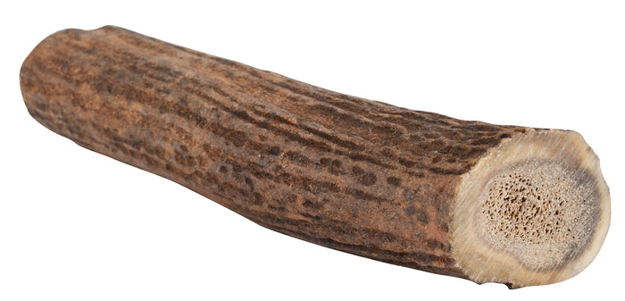 Antlerz Natural Dog Chew - QTDAG - Large - 4