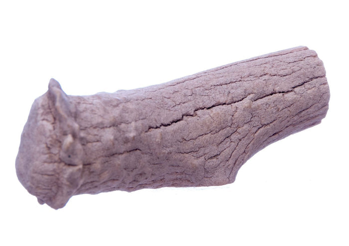 Antlerz Natural Dog Chew - QTDAH - Jumbo - 7
