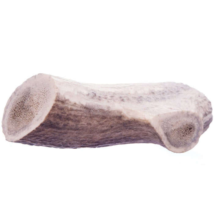 Antlerz Natural Dog Chew - QTDAI - Monster - 8