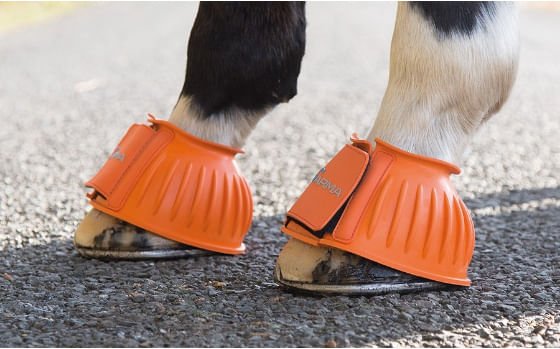 Arma Rubber Bell Boots - SEPR8 - Orange - XFull - 3