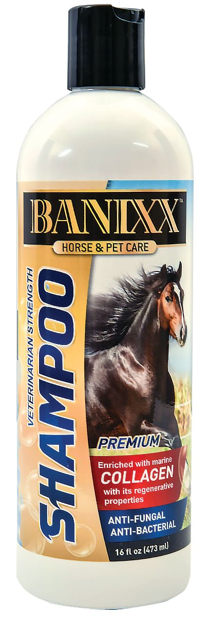 Banixx Veterinary Strength Shampoo, 16 oz - SHEA1 - 1