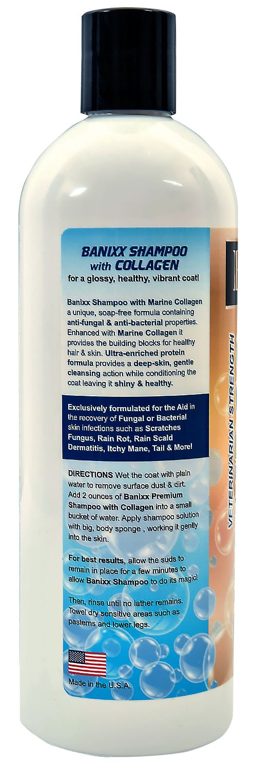 Banixx Veterinary Strength Shampoo, 16 oz - SHEA1 - 2