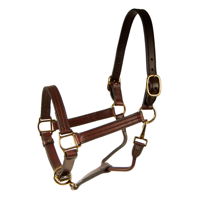 Berlin Track Leather Halter, 1" - BCLED - Yearling - 1