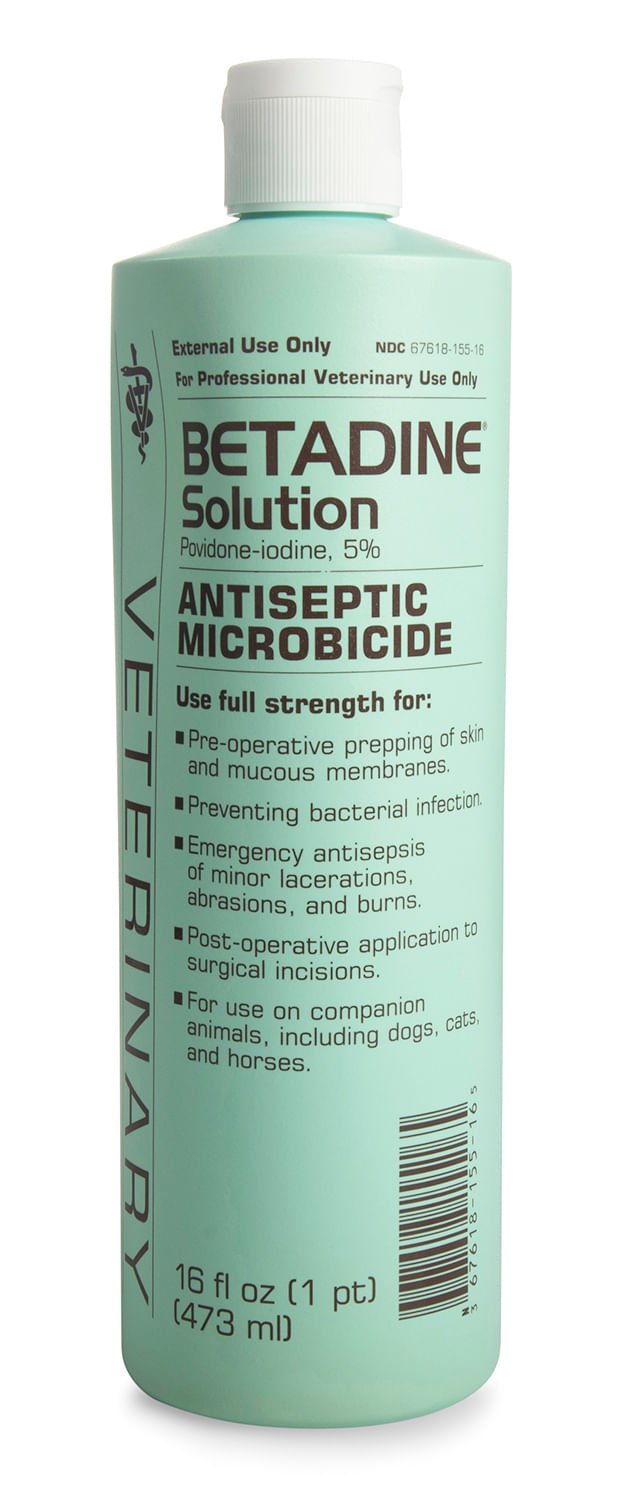 Betadine Antiseptic Solution (Povidone Iodine) Topical Wound Disinfectant for Dogs, Cats & Horses - P7B1 - 16 oz - 1