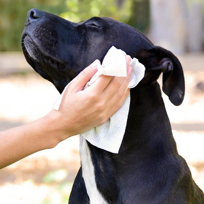Betty's Best Skin & Coat Cloth Wipes - RJMBW - 8" x 8" - 2