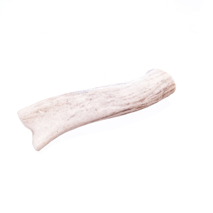 Big Sky Round Antler Chews, Singles - TGAF - Small - 1