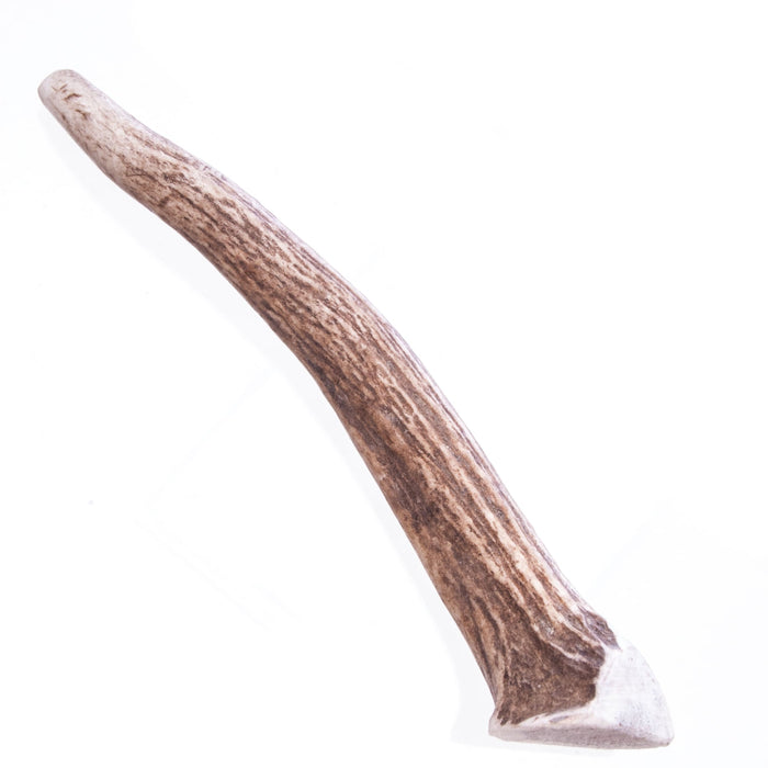 Big Sky Round Antler Chews, Singles - TGAG - Medium - 2