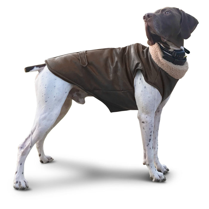 Bomber Dog Jacket by Fashion Pet - RR3AC - 2