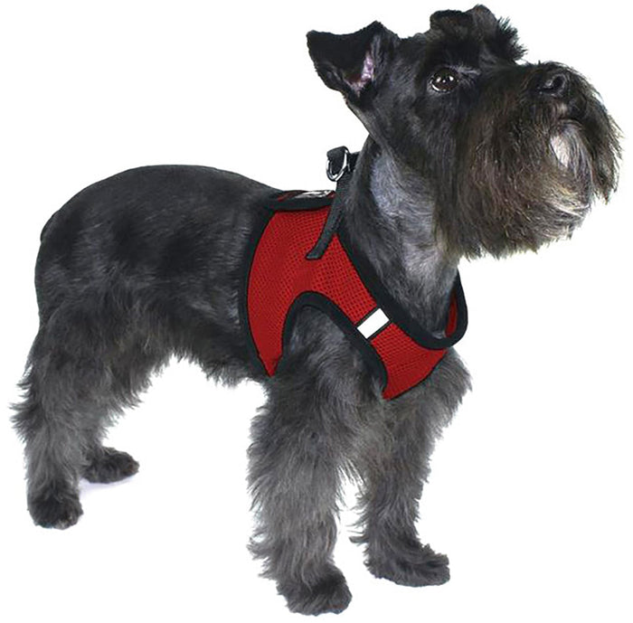 Boston Mesh Dog Harness, X - Large - DLAZ - Royal Blue - 4