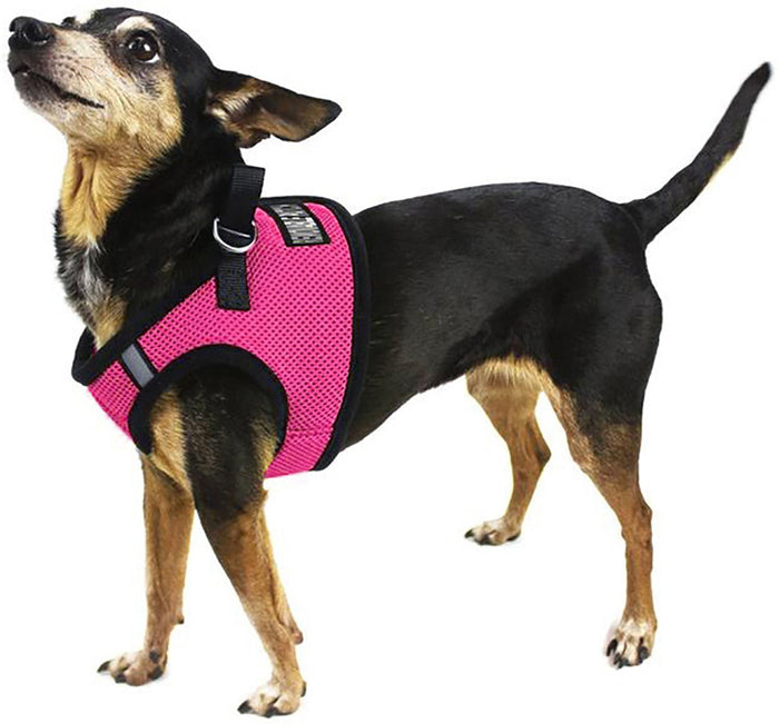 Boston Mesh Dog Harness, X - Large - DLAZ - Royal Blue - 6