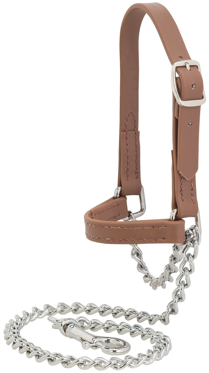 Brahma Webb Show Goat Halter - WLCDO - Small - 2
