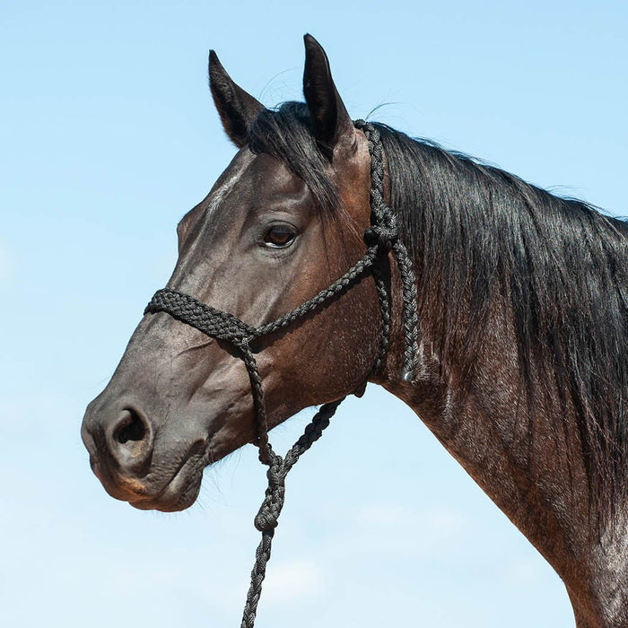 Braided Mule Tape Halter with 9' Lead - QL1D2 - Black - 2