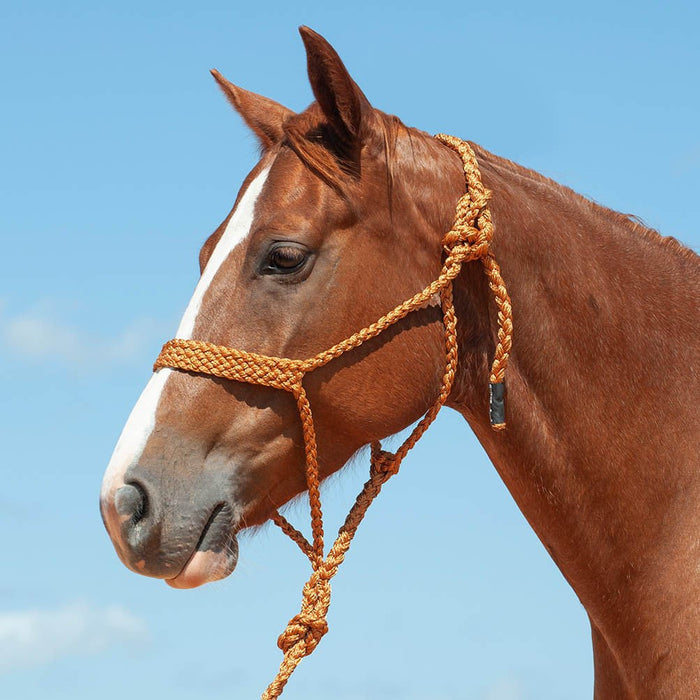 Braided Mule Tape Halter with 9' Lead - QL1D5 - Copper - 5