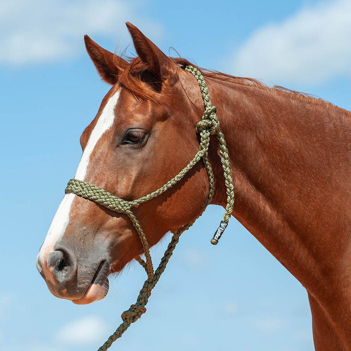 Braided Mule Tape Halter with 9' Lead - QL1D8 - Olive - 7