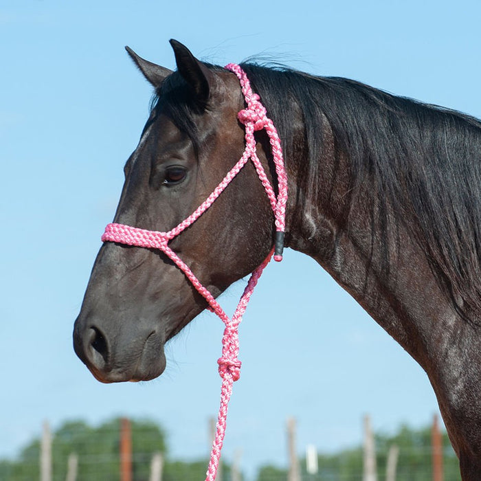 Braided Mule Tape Halter with 9' Lead - QL1D9 - Pink - 8