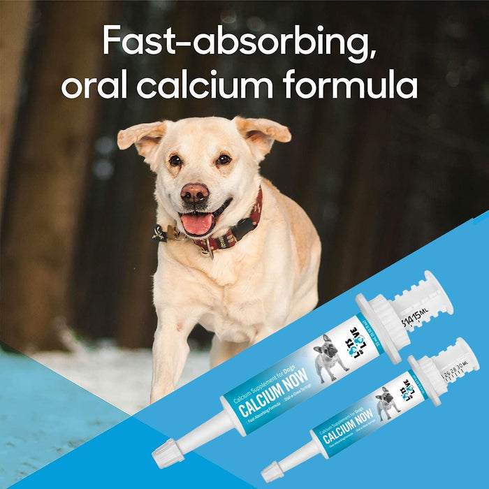Lots of Love Calcium Now - LOL1A - 15 ml - 4