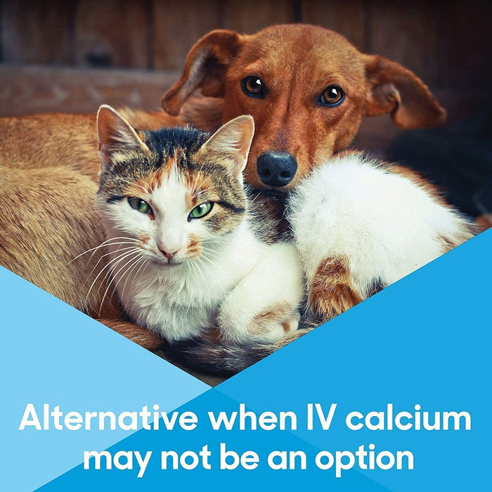 Lots of Love Calcium Now - LOL1A - 15 ml - 8