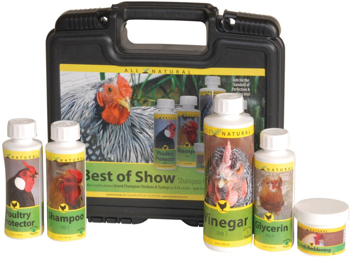 Best of Show - CEIAA - 1
