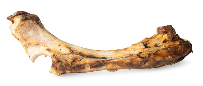 ChewMax Slammer Beef Bone, 14" L - CMPBL - 1