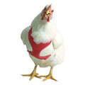 Chicken Harness - V2AH - Red - Small/Hen - 1